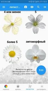 Программа распознай цветок