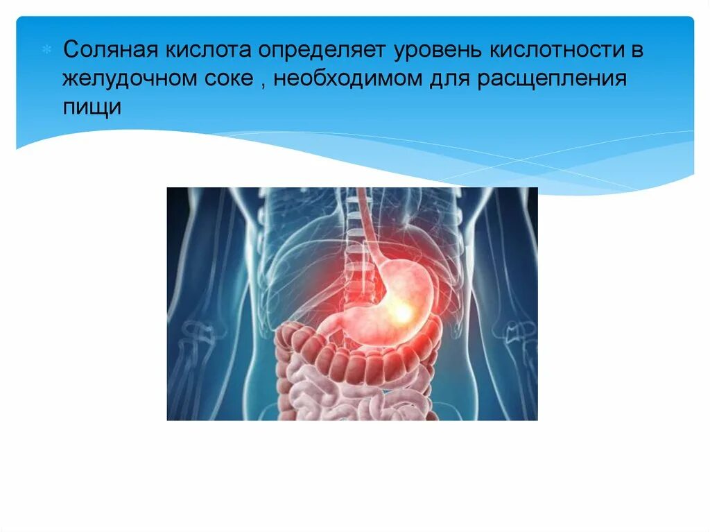 Соляная кислота в желудке. Сольнапя кислта вжелуде. Кислота желудочного сока. Соляная кислота в желудке человека. Кислотность соляной кислоты