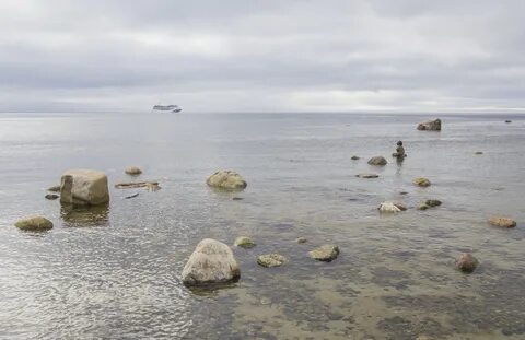 Белое море авито