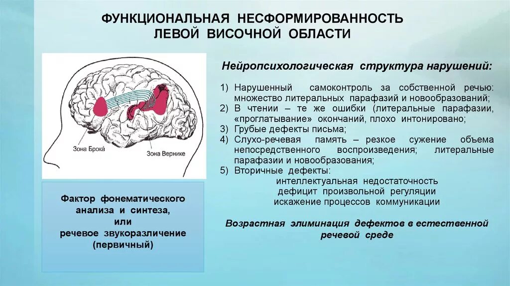 Расстройство полушарий. Синдром несформированности левой височной области. Несформированность височной доли. Функциональная несформированность левой височной области. Функциональная несформированность левой височной доли.