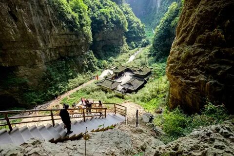 Wulong