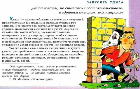 Сыр фразеологизмы