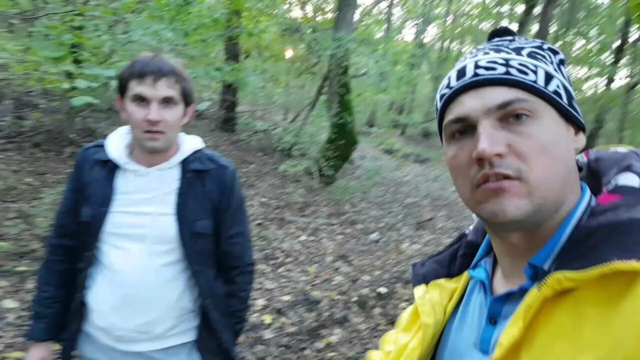 Дядя лес. Дядя лес. Дядя лес. Дядя лес. Лесной дядя.