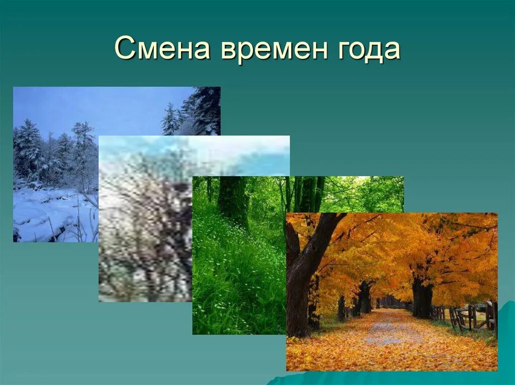 Время года зима изменения в жизни растений. Сезонные изменения в природе. Смена времен года. Сезонные изменения в жизни растений. Времена года слайд.