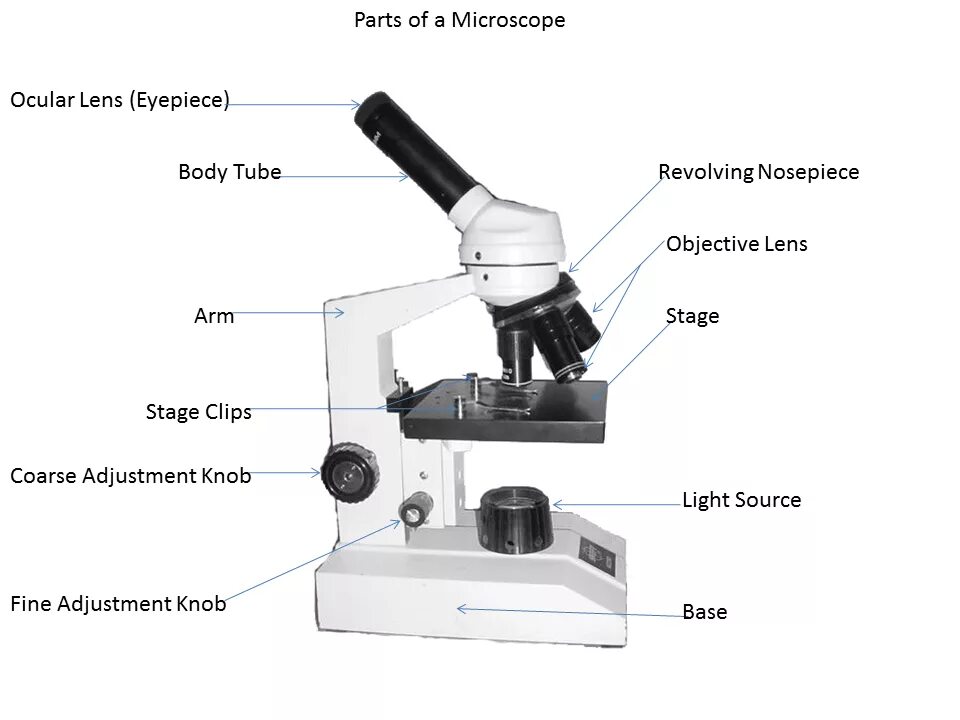 Лапки микроскопа. Микроскоп Icom Poland Scientific Microscope (7161069). Микроскоп Phonefix xz2479. Микроскоп Apexlab. Микроскоп УИМ 20.