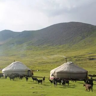 Ауылда жүз түрлі жұмыс бар 6 сынып