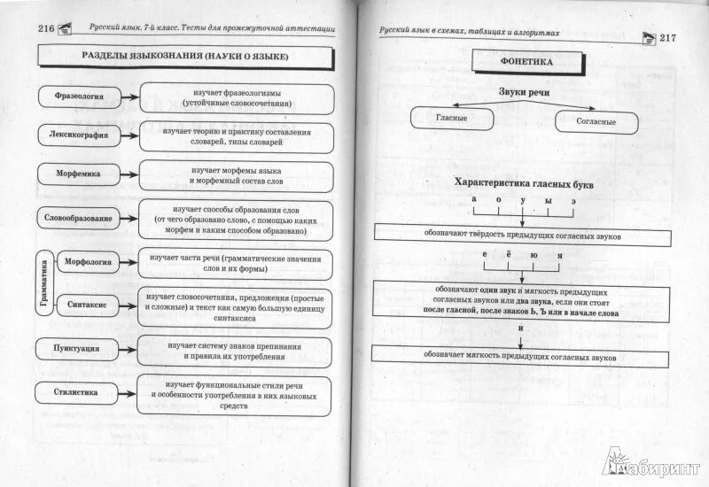 Русский язык промежуточная аттестация 7 класс ответы. Русский язык методическое пособие 7 класс. Русский язык 7 класс тесты для промежуточной аттестации. Русский язык Сенина тесты для промежуточной аттестации. Методическое пособие по русскому языку 7 класс.