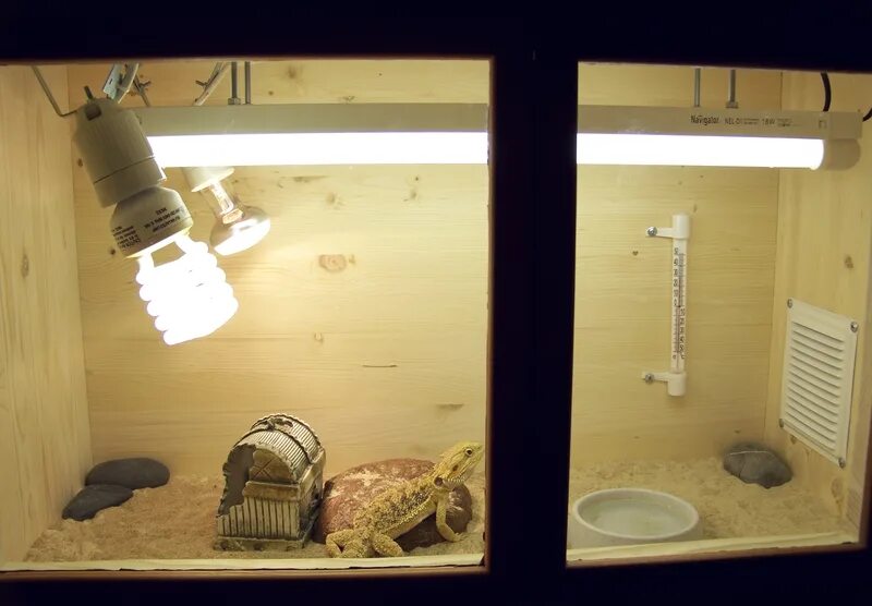 ультрафиолетовая лампа 13w e27 для водных черепах 12 обезьян. какие лампы для агамы. какие лампы для агамы. террариум для бородатой агамы. какие лампы для агамы.