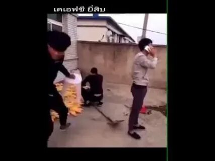 Китайские приколы видео