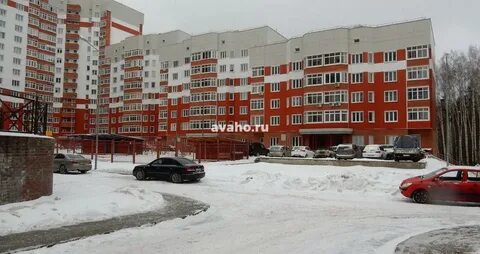Кучино леоновское шоссе