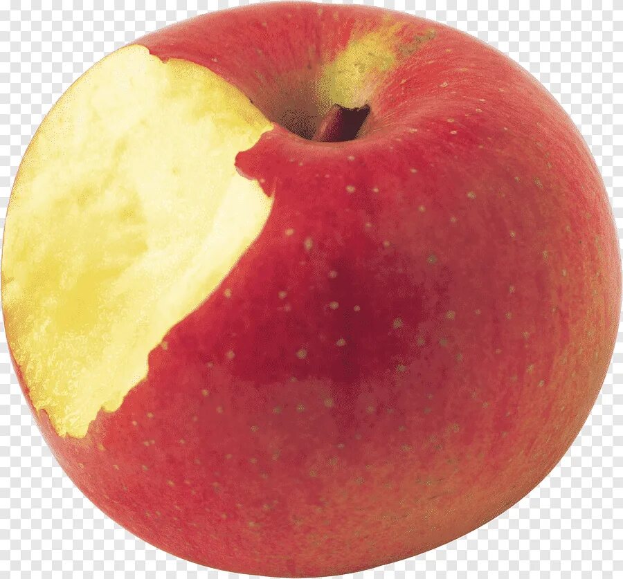 Bit apple
