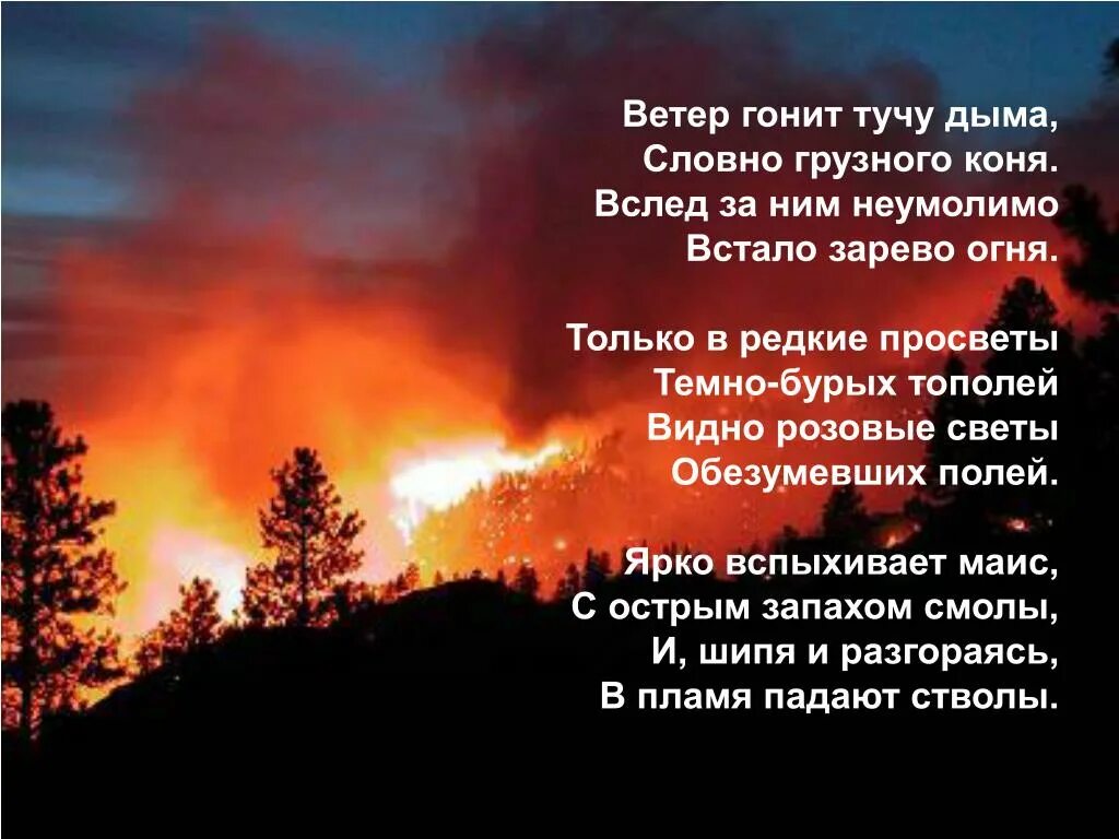 Гонит почему и. Стихи про Лесные пожары. Стихотворение Лесной пожар. Стихи про пожар в лесу. Стихотворение про огонь в лесу.