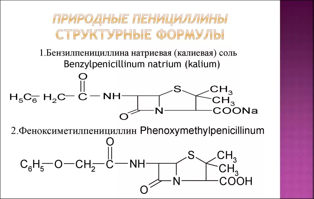 Получение пенициллина