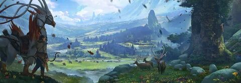 Wildeerstudio