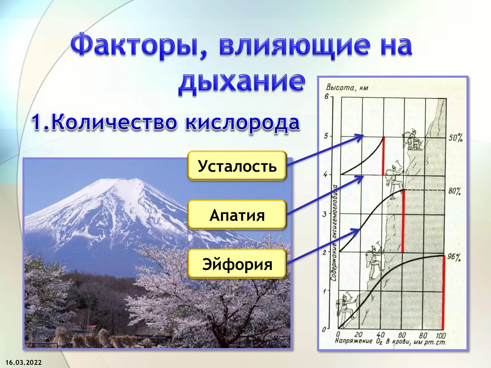 На сколько уменьшается температура с высотой