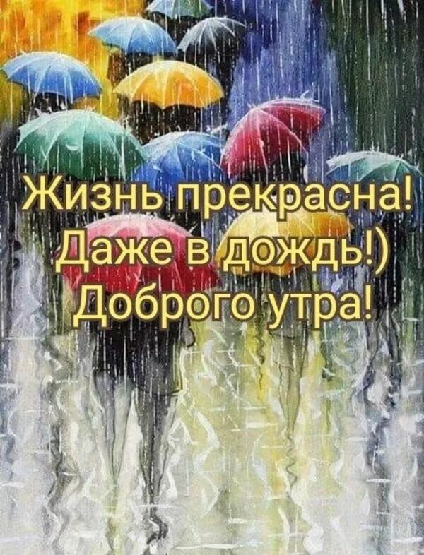 Доброе утро в дождливую погоду. Открытки с добрым дождливым утром. Открытка доброе дождливое утро. С добрым дождливым летним утром оптимизм.