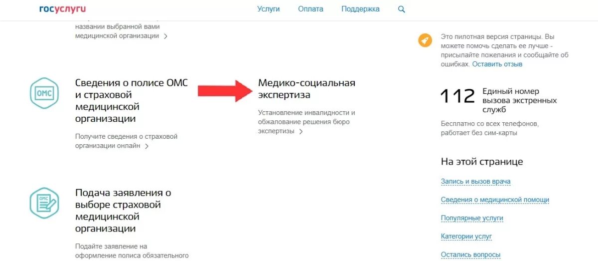 Пмпк через госуслуги. Обжалование инвалидности через госуслуги. Обжалование МСЭ через госуслуги. Обжаловать решение МСЭ по инвалидности через госуслуги. Инвалидность в госуслугах.