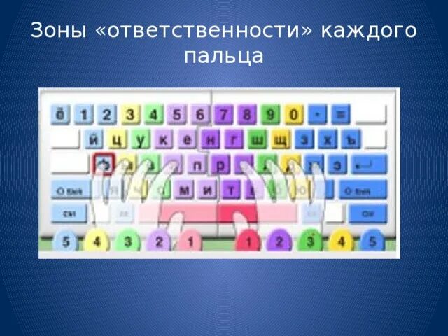 Основная позиция пальцев на клавиатуре 7 класс. Зоны ответственности каждого пальца. зоны ответственности пальцев на клавиатуре. группы клавиш на клавиатуре 5 класс информатика. ответственность каждого пальца на клавиатуре.