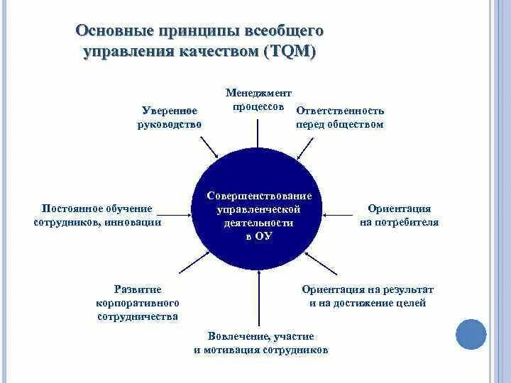 Управление качеством обучение персонала. Элементы стратегии tqm. принципы всеобщего менеджмента качества образования. основные принципы обучения персоналом. роли персонала в инновационном процессе.