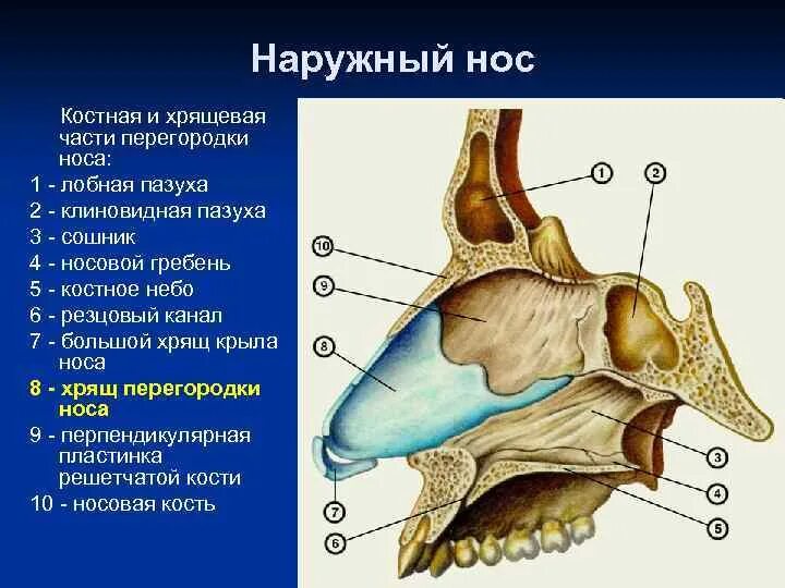 Локализованная дифтерия ротоглотки. Чем лечить заднюю стенку носа. Чем лечить заднюю стенку носа. Постринальный синдром. Задняя тампонада полости носа техника.