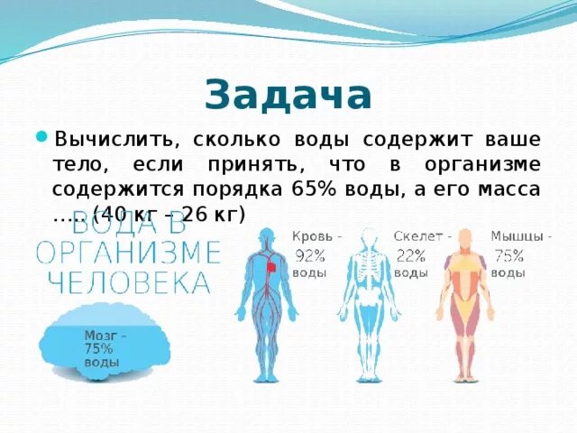 Сколько воды в теле человека. Сколько % воды варганизме. Сколько кг воды в человеке. Сколько воды в человеческом организме. Расчет воды в организме