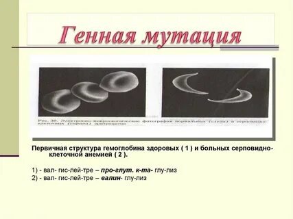 Генная мутация возникает в результате