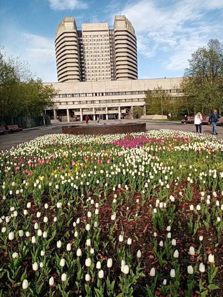 Каширская больница москва