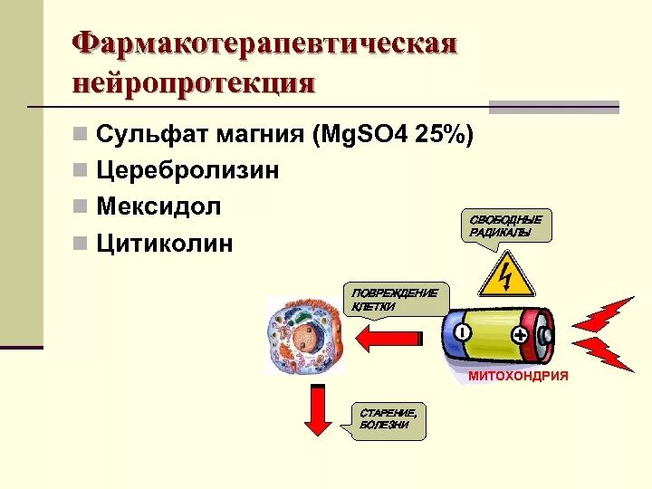 Нейропротекция. Препараты для нейропротекции. Нейропротекция плода магнезией. Нейропротекция при инсульте.