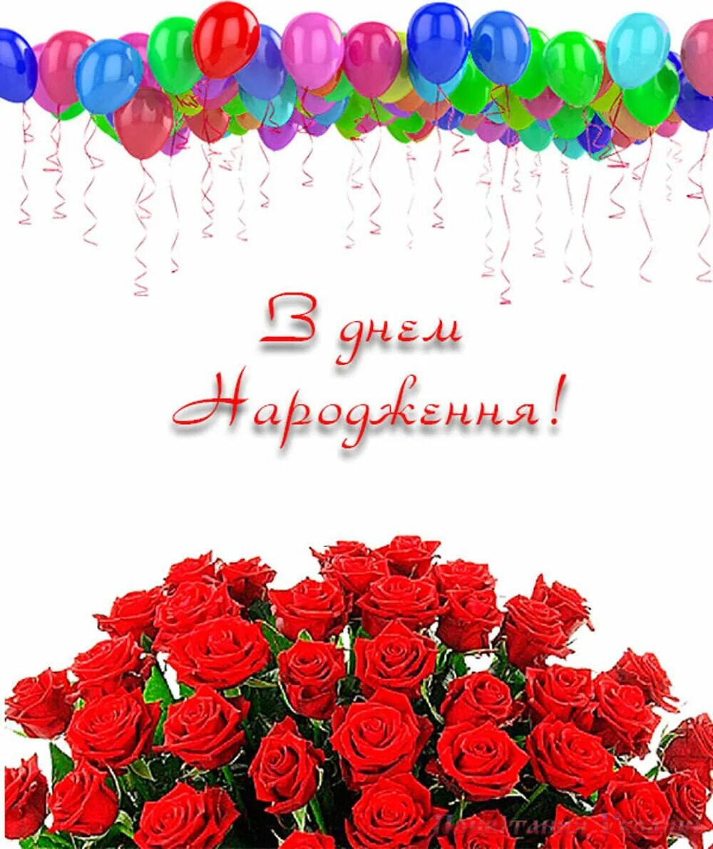 З днем народження. Привітання з днем народження. Открытка с днем рождения на украинском. Открытки с днём рождения на украинском языке.