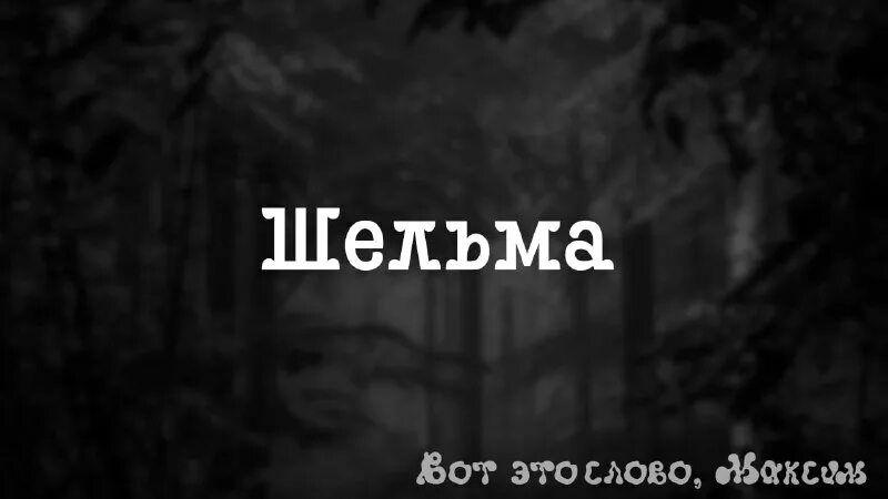 когда некуда записать список покупок. отстань от меня мем. открытка отстань от меня. список покупок смс прикол. я в домике картинки.