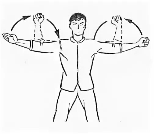 круговые вращения руками вперед и назад. вращение предплечий в локтевом суставе. упражнение круговые движения кистями рук. упражнение вращение предплечий. круговые движения локтями вперед.