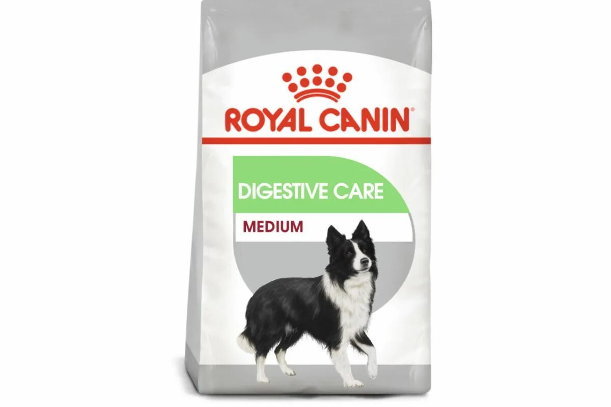 Роял канин digestive care для собак. Сухой royal canin digestive. Роял канин дайджестив для кошек. Корм для джек рассел терьера. Роял канин digestive care для кошек.