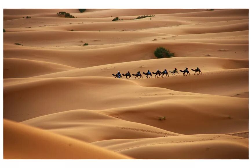 Наибольшая пустыня в мире. Египет пустыня сахара. Африка пустыня сахара. Пустыня сахара природные зоны. Природная зона Африки пустыня.