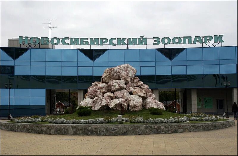 Новосибирский зоопарк им. Станция заельцовский парк, новосибирск. Метро новосибирск схема до зоопарка. Новосибирский зоопарк снаружи. Детская железная дорога новосибирск зоопарк.