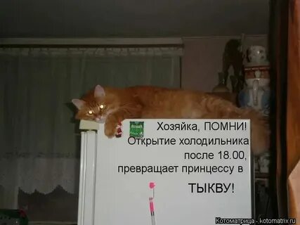 Ни одно с не есть после