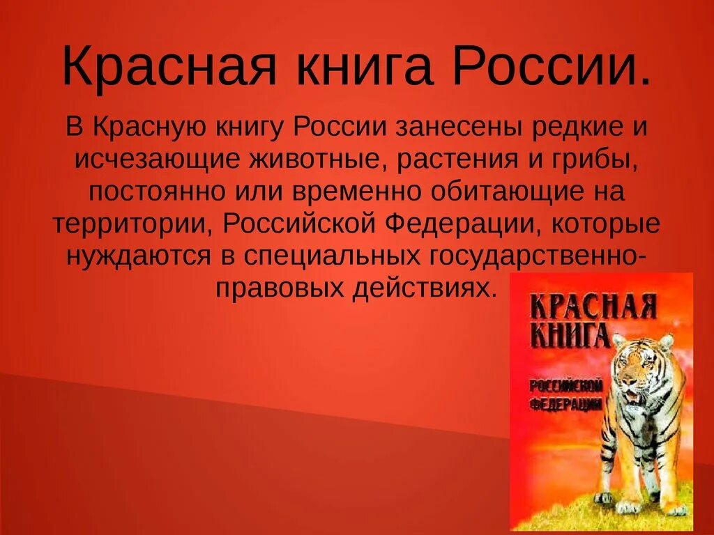 Красная книга сценарий