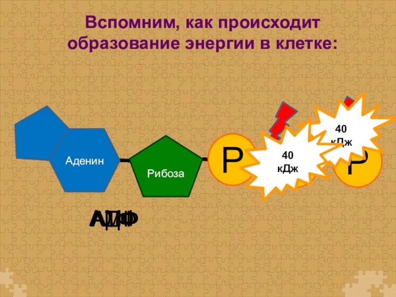 Образование энергии использование. Образование энергии. Образование энергии происходит в. Как происходит образование.