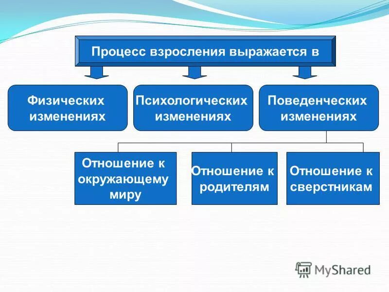 стадии развития эпигенетическая теория развития личности э. теория рекапитуляции ст холл исследовательский метод. факторы взросления. период взросления личности. факторы взросления.