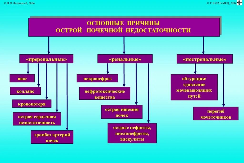 Клинические симптомы острой почечной недостаточности. Острая почечная недостаточность причины возникновения. Ренальная острая почечная недостаточность причина. Синдром острой почечной недостаточности клиника. Опн хпн