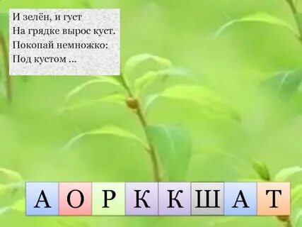 Растет на грядке зеленая ветка