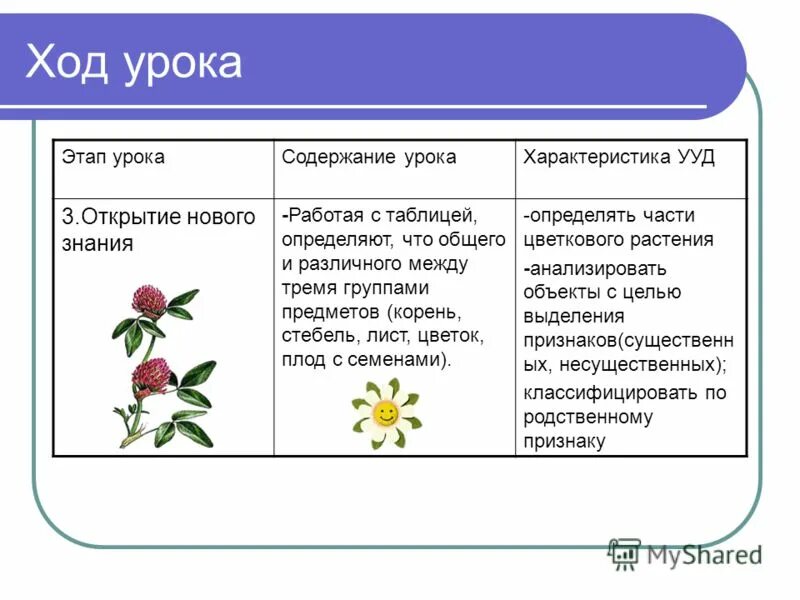 Ход урока 5 класс. Ход урока таблица. Ход урока этапы. План хода урока. Структура и ход урока.