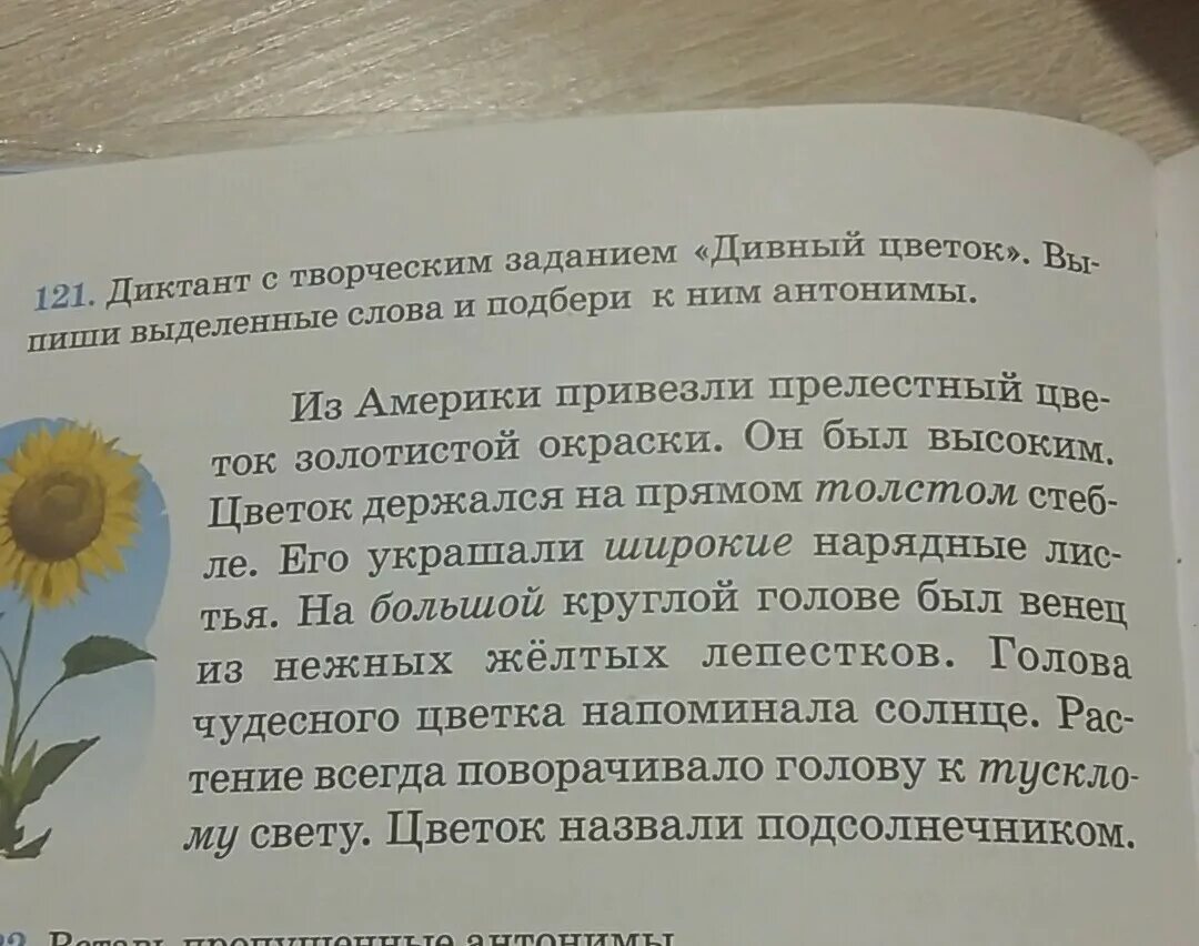 Дивный цветок текст. Диктант цветы. Диктант дивный цветок. Диктант цветочные цветы.