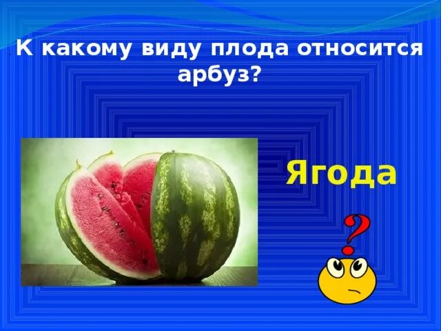 Арбуз вид плода. Арбуз это ягода или овощ. К какому видно виду относится Арбуз. Какому типу относится плод арбуза.