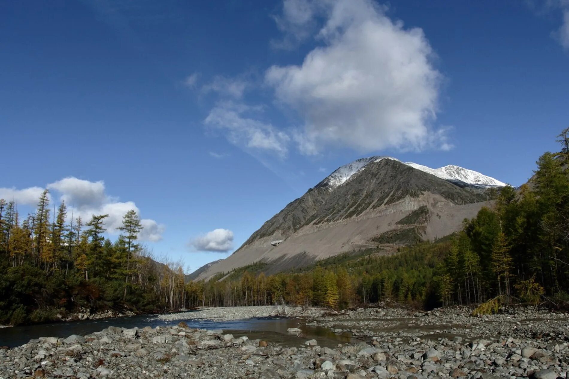 герб чары фото. лафитник гусь хрустальный. аэропорт новая чара. чарки перевертыши державные. новый чарок.