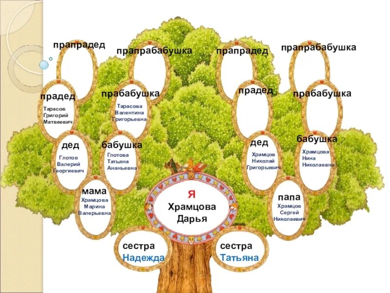 Генеалогическое древо кубановедение 3. Генеалогическое дерево семьи по окружающему миру. окружающий мир проект родословная. проект моя родословная. генеалогическое дерево 3 класс окружающий мир.