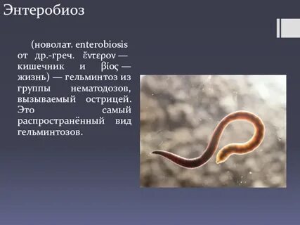 Энтеробиоз