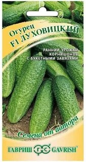 Луховицкая огурцов