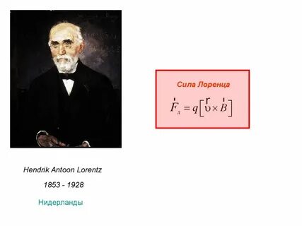 Отрывок из труда лоренца посвящен проблемам