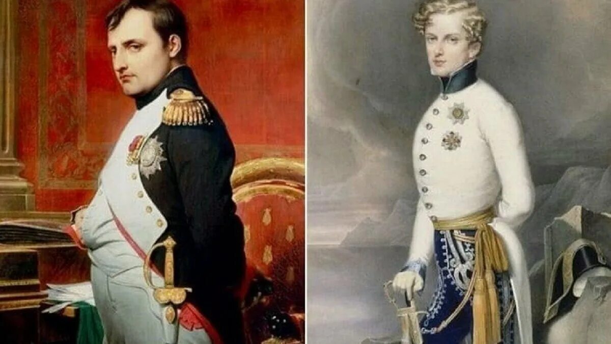 Наследник французского престола. Наполеон 2 Бонапарт. Франсуа Жозеф сын Наполеона.