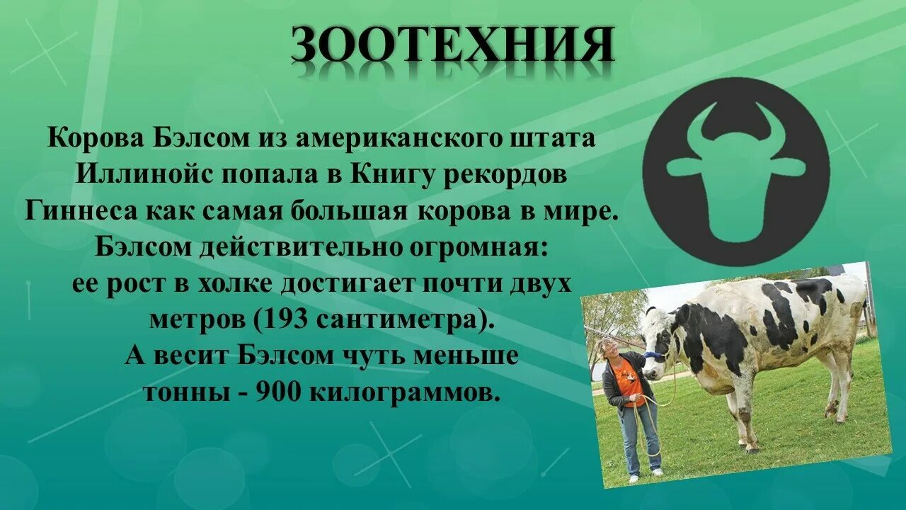 Проблемы зоотехнии. Проблемы зоотехнии